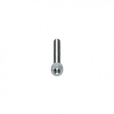 Vis 45 mm pour fixation montant sur base ALPHA