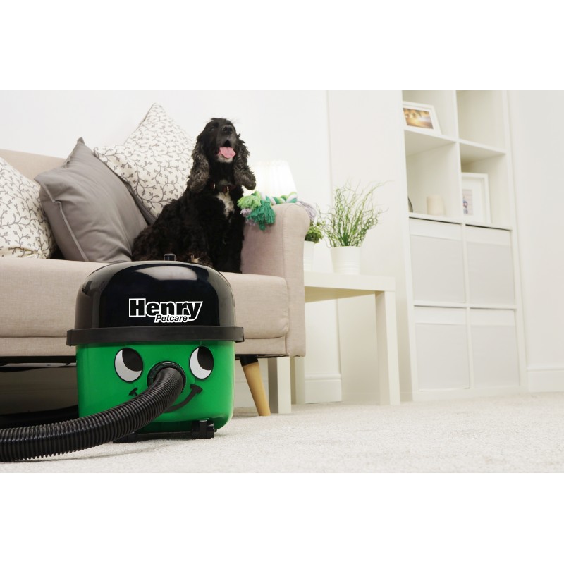 Aspirateur Henry Petcare HPC160 poil animaux - Des marques leaders de  nettoyage aux meilleures prix pour professionnels et particuliers